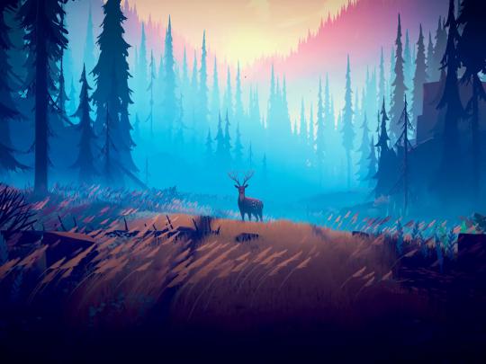 Animated Forest Wallpaper 4K : 23 Anime Forest Scenery Wallpaper 