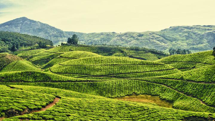 Landscape Wallpaper 4k - Top Quality Landscape Wallpaper For Desktop