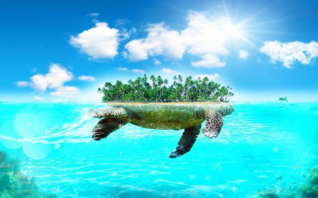 Large HD Wallpapers