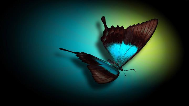 Extra Large Desktop Wallpaper -