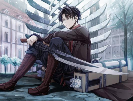 [50+] Levi Wallpaper 