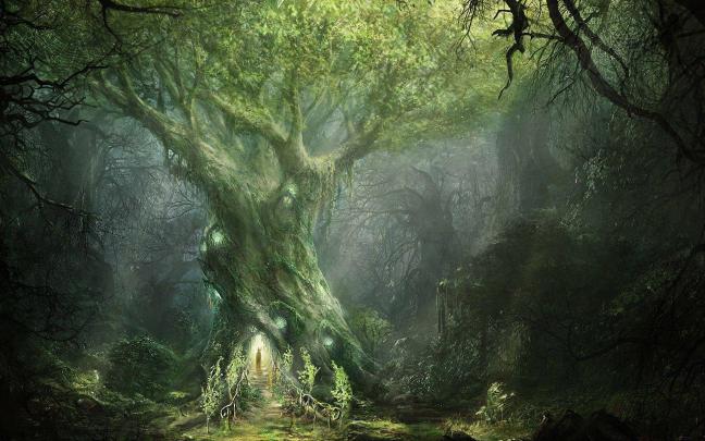 Lord Of The Rings Wallpapers HD