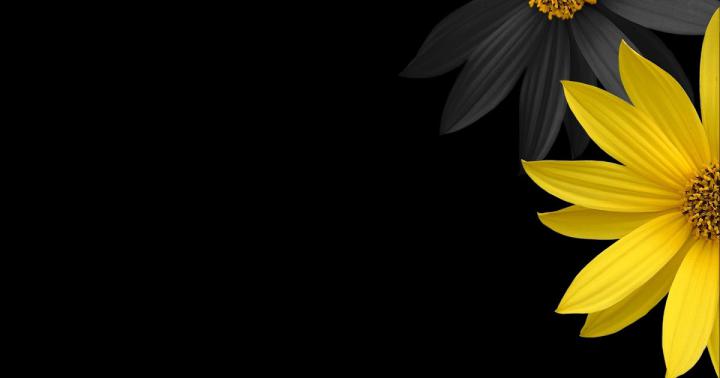 Maimoon: Simple Pc Wallpaper 1920x1080