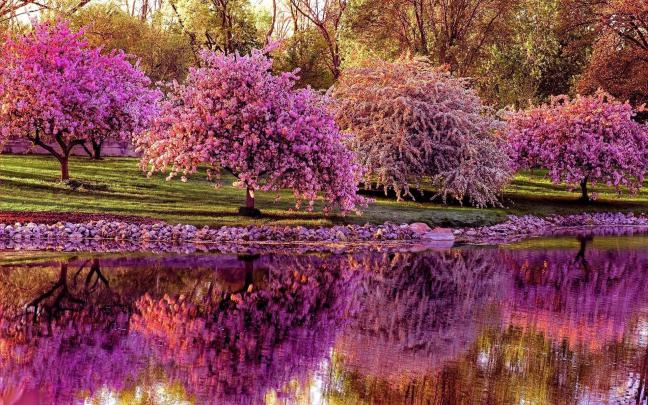 Desktop Wallpaper Spring Flowers \u00b7\u2460 