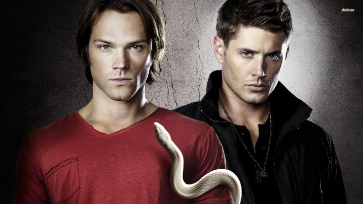 supernatural wallpapers snake - HD Desktop Wallpapers