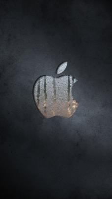 Apple Logo 4k Wallpapers - Top Free Apple Logo 4k Backgrounds 