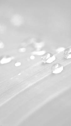 Pure White Wallpaper 4k - Wallpaper
