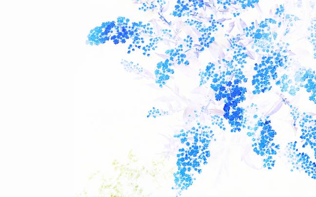 Blue And White Wallpaper 4k - Zendha