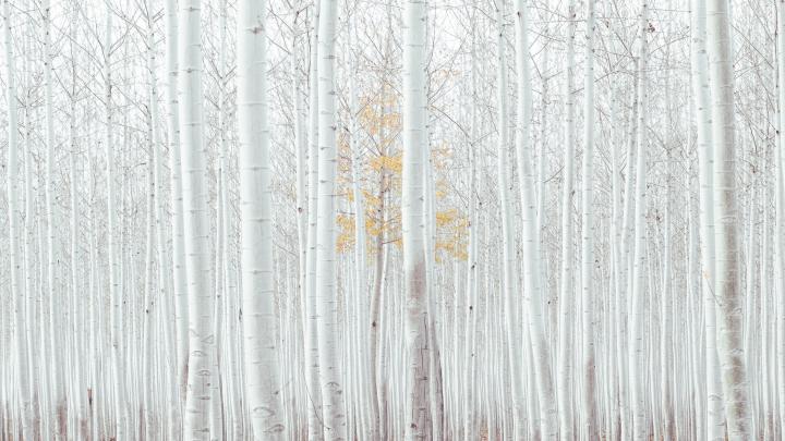 4K White Wallpapers - Top Free 4K White Backgrounds - WallpaperAccess