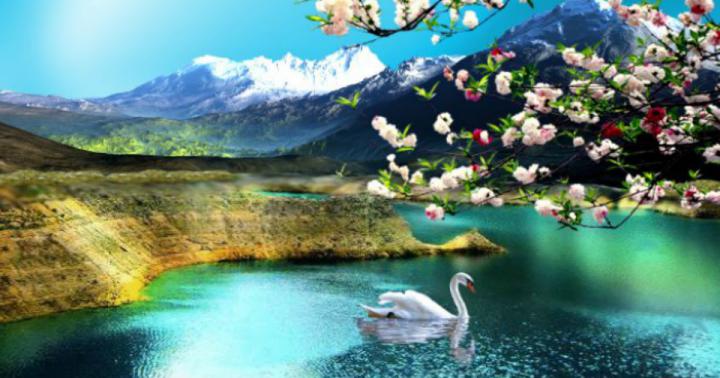 Get Inspired For High Quality Windows 10 Wallpaper Hd 1920x1080 Nature 
