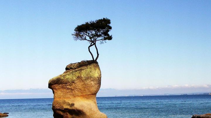 Download Nature Wallpaper Reddit