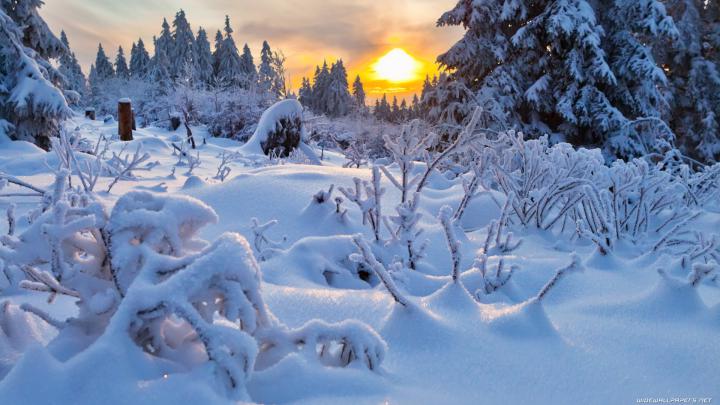 Download Nature Wallpaper Reddit
