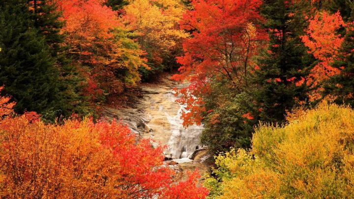 Beautiful Autumn HD Wallpapers 1920x1080 -