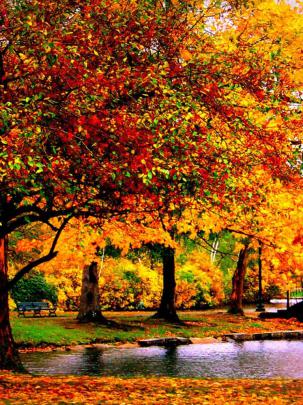 Free download Autumn Wallpaper Hd Autumn HD Wallpapers for PC HVGA 32 