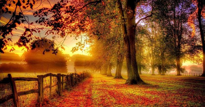 Autumn Wallpaper Hd 1920x1080 - Gambar Ngetrend dan VIRAL