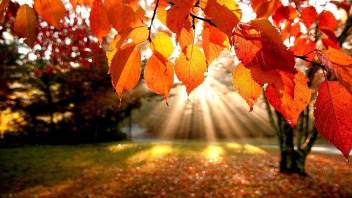 Awesome Autumn Wallpaper Hd 1920x1080 pictures