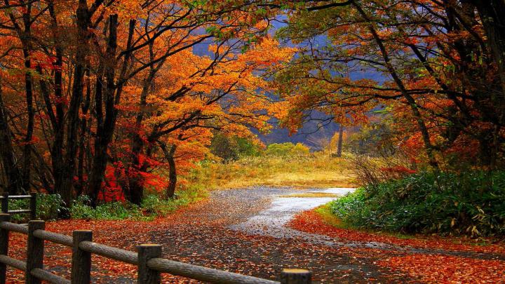 Autumn Wallpapers