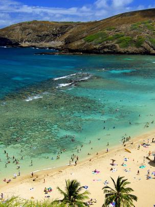 Free download Afternoon Hawaii Beach Wallpaper Wide 13126 Wallpaper 