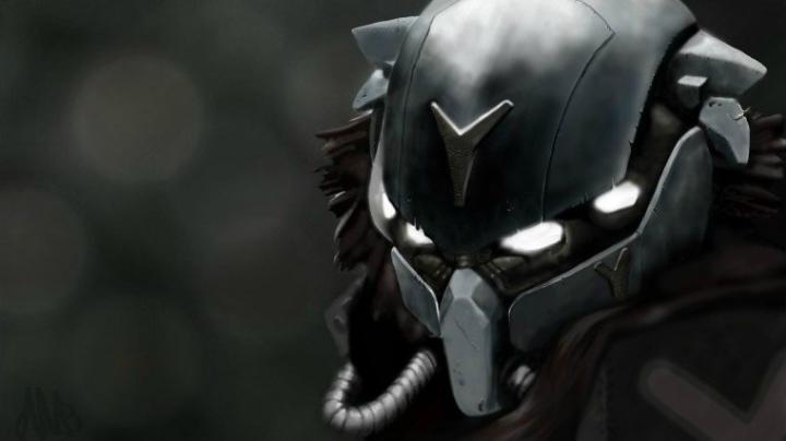 Free download HD Destiny Video Game 2014 Fighter HD Photo Wallpaper 