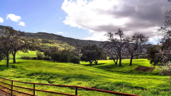 [41+] 1920x1080 HD Nature Wallpapers 