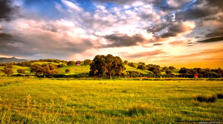 1920X1080 Nature Desktop Wallpapers | Free Best Hd Wallpapers