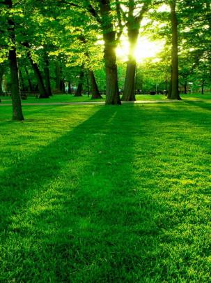 Free download Park Landscape HD Wallpapers 1920x1080 Nature Landscape 