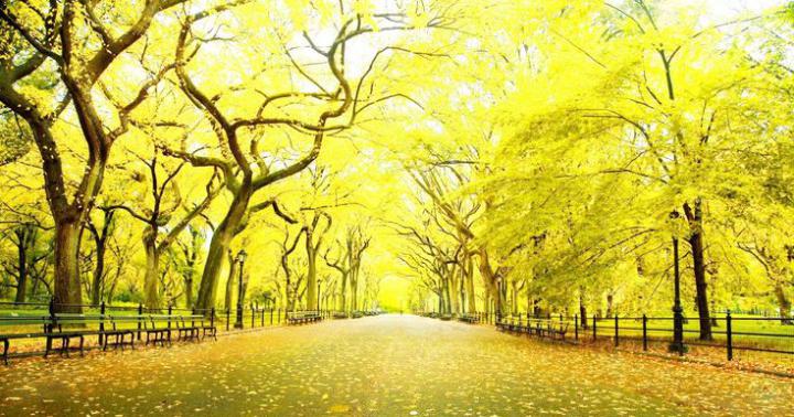 25 1920x1080 Nature Wallpaper Hd 1080p Free Download- Hd Wallpapers 