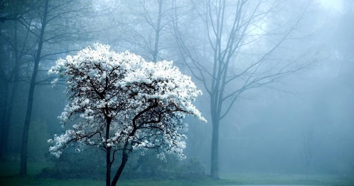 18++ Hd Wallpapers For Pc 1920x1080 Nature - Venera Wallpaper