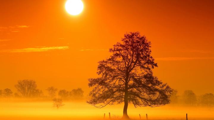 1920x1080 Nature Morning Landscape HD Wallpapers 1080p | Sunrise 