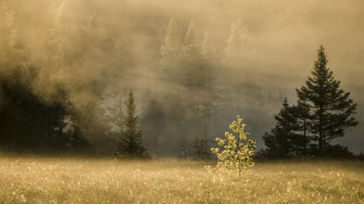 Hd Wallpapers 1920X1080 Nature : Beautiful Landscape Nature Hd 