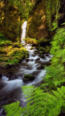 landscape, Vertical, Creeks Wallpapers HD \/ Desktop and Mobile Backgrounds