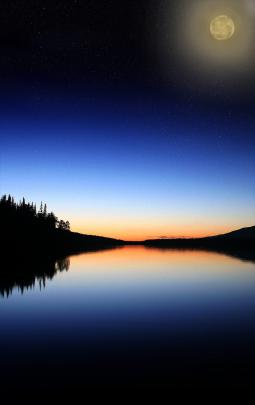 Vertical Desktop Wallpaper -