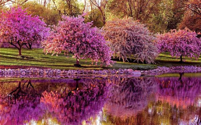Spring Desktop Wallpaper Widescreen -