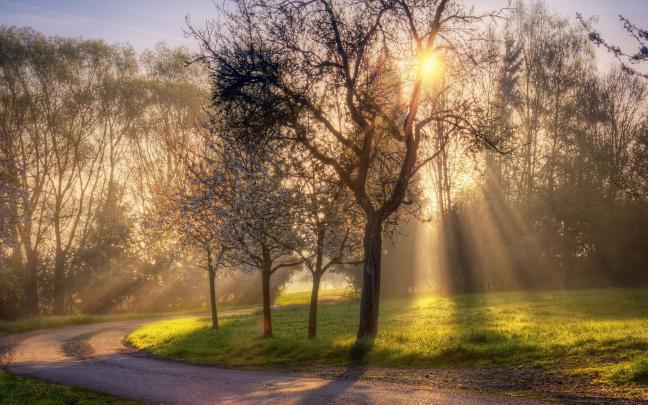 [46+] Spring HD Wallpaper Widescreen 