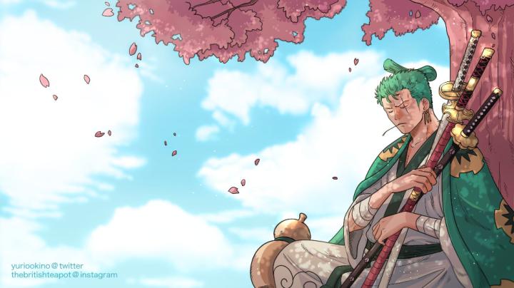View Zoro Wallpaper Hd 4K Background - allwallpaper | Uhd wallpaper 