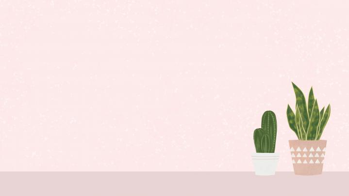 Aesthetic Minimalist Plant Desktop Wallpapers