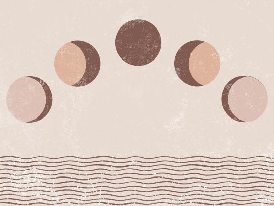 Aesthetic Minimalist Boho Desktop Wallpaper - WallpapersCast