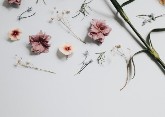 Aesthetic Minimalist Desktop Wallpaper Pinterest
