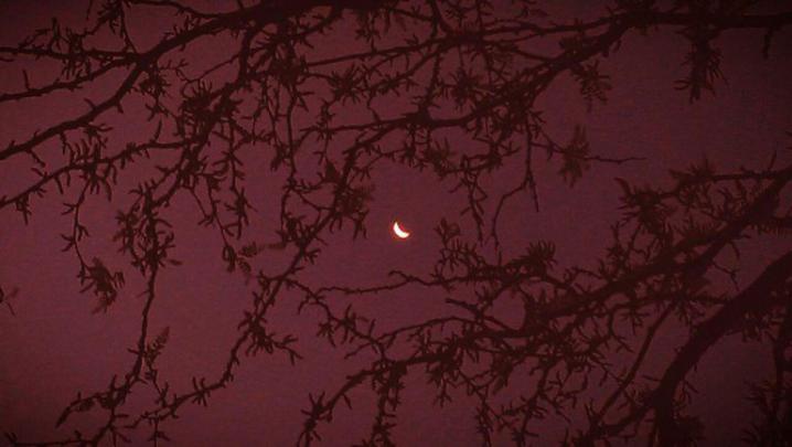 Maroon Aesthetic Wallpaper Moon \u2022 Wallpaper For You HD Wallpaper For 