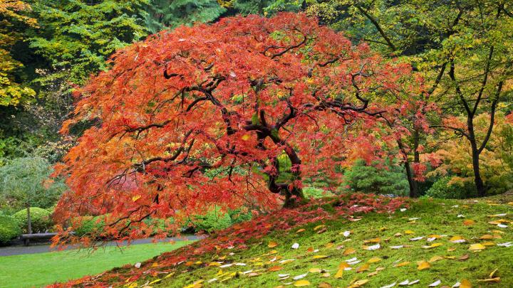 Beautiful Autumn HD Wallpapers 1920x1080 -