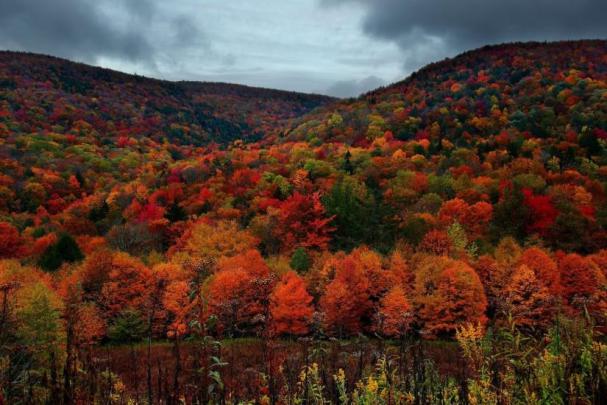 Autumn wallpaper HD \u00b7\u2460 Download free wallpapers for desktop, mobile 