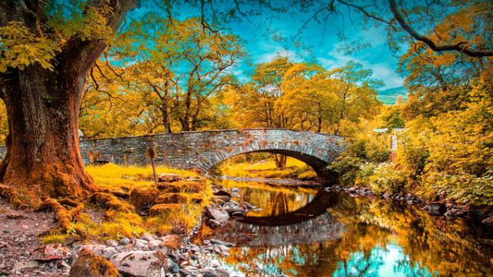 Free download Train In Autumn Wallpaper HD 1920x1080 4867 [1920x1080 