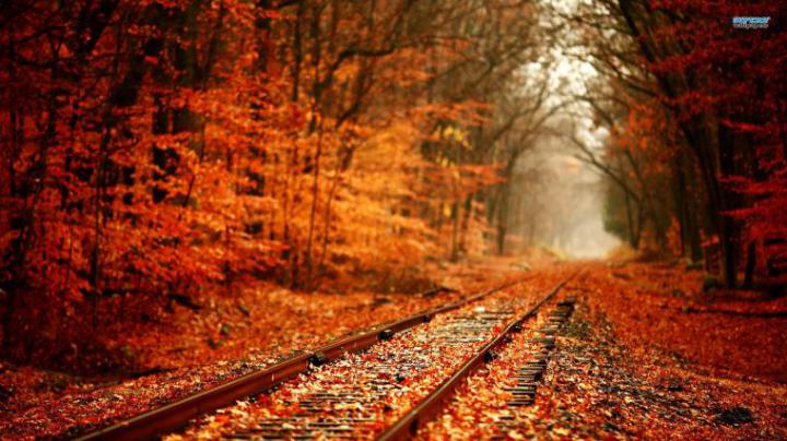 Free download Autumn Wallpaper Hd Autumn HD Wallpapers for PC HVGA 32 