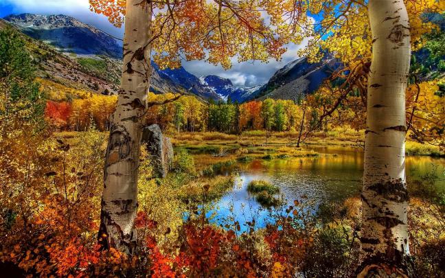 Fall wallpaper HD \u00b7\u2460 Download free wallpapers for desktop, mobile 