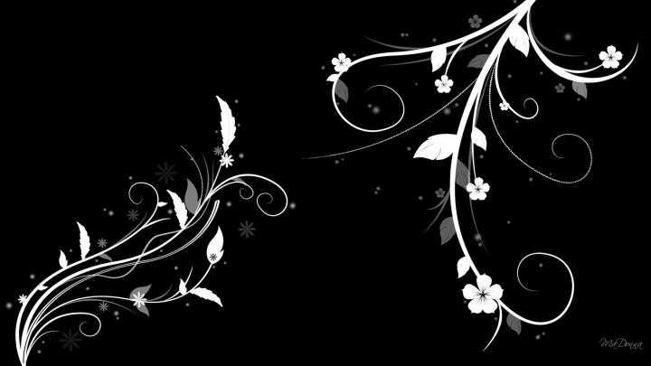 70 HD Black And White Wallpapers For Free Download (Resolution 1080p)