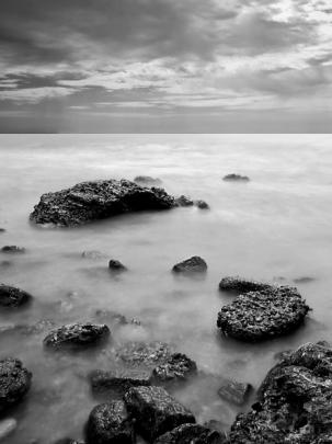 Free download Black and white landscapes nature monochrome sea 