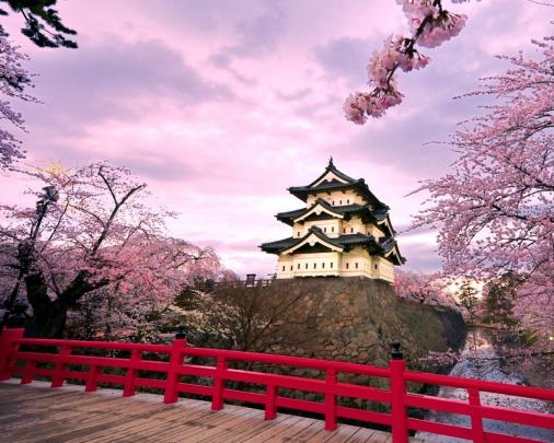 [37+] Japanese Cherry Blossom Wallpaper 1920x1080 