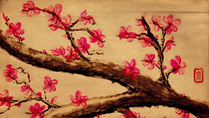 Free download Japanese cherry blossom season wallpaper 10 1920x1080 