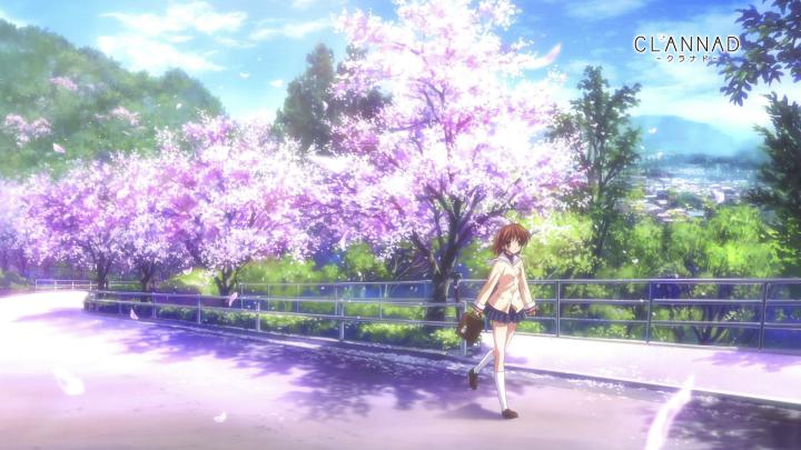 Japanese Cherry Blossom Wallpaper 1920x1080 -