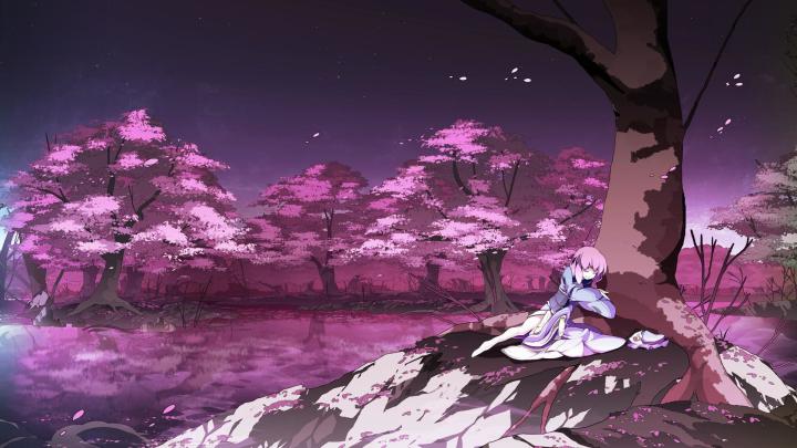 Japanese Cherry Blossom Wallpaper 1920x1080 (59+ images)